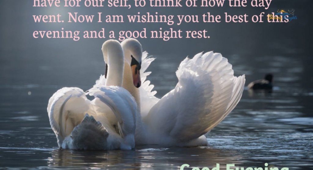 Best Images & Visual Ideas for Wednesday Quotes